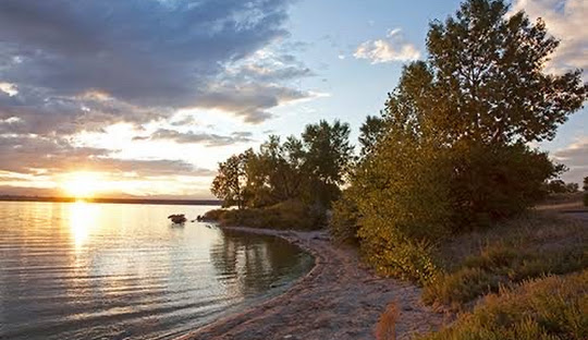 Window Contractor — Arapahoe County, CO