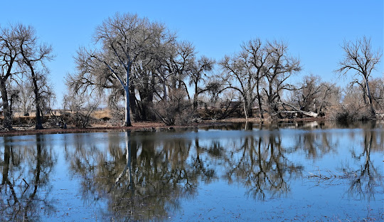 Window Contractor — Adams County, CO